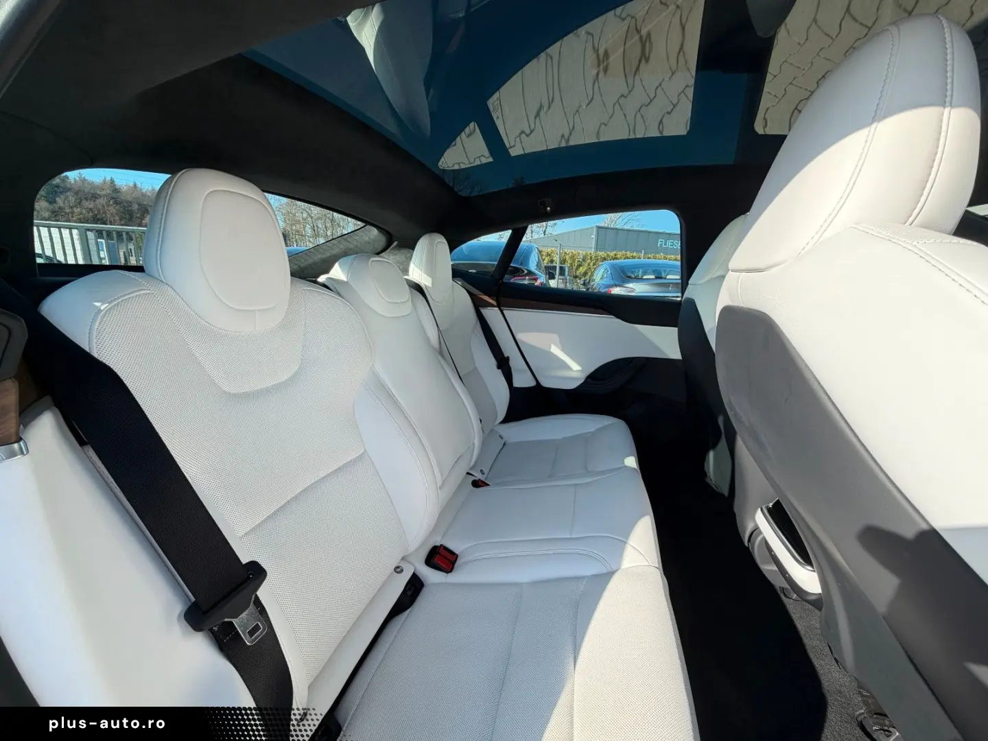 TESLA MODEL S PALLADIUM MAXIMAL RANGE   MATRIX LED