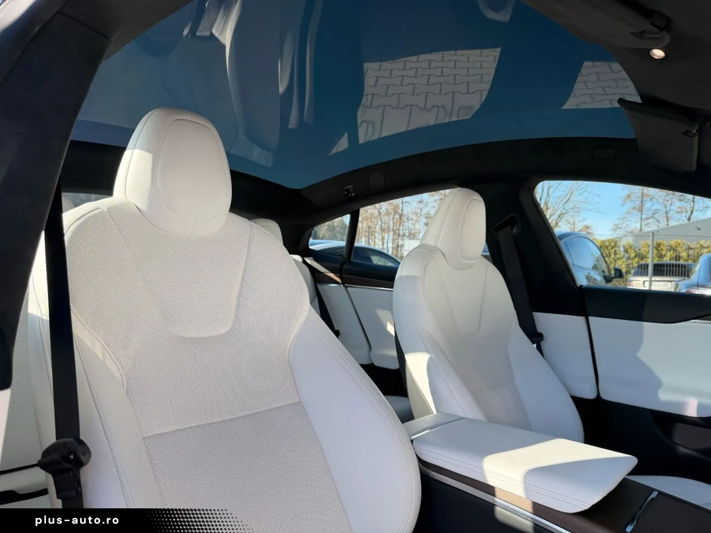 TESLA MODEL S PALLADIUM MAXIMAL RANGE   MATRIX LED