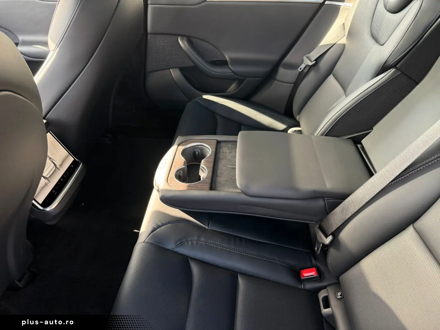 TESLA MODEL S PALLADIUM   MATRIX   21  Arachnid   HW4