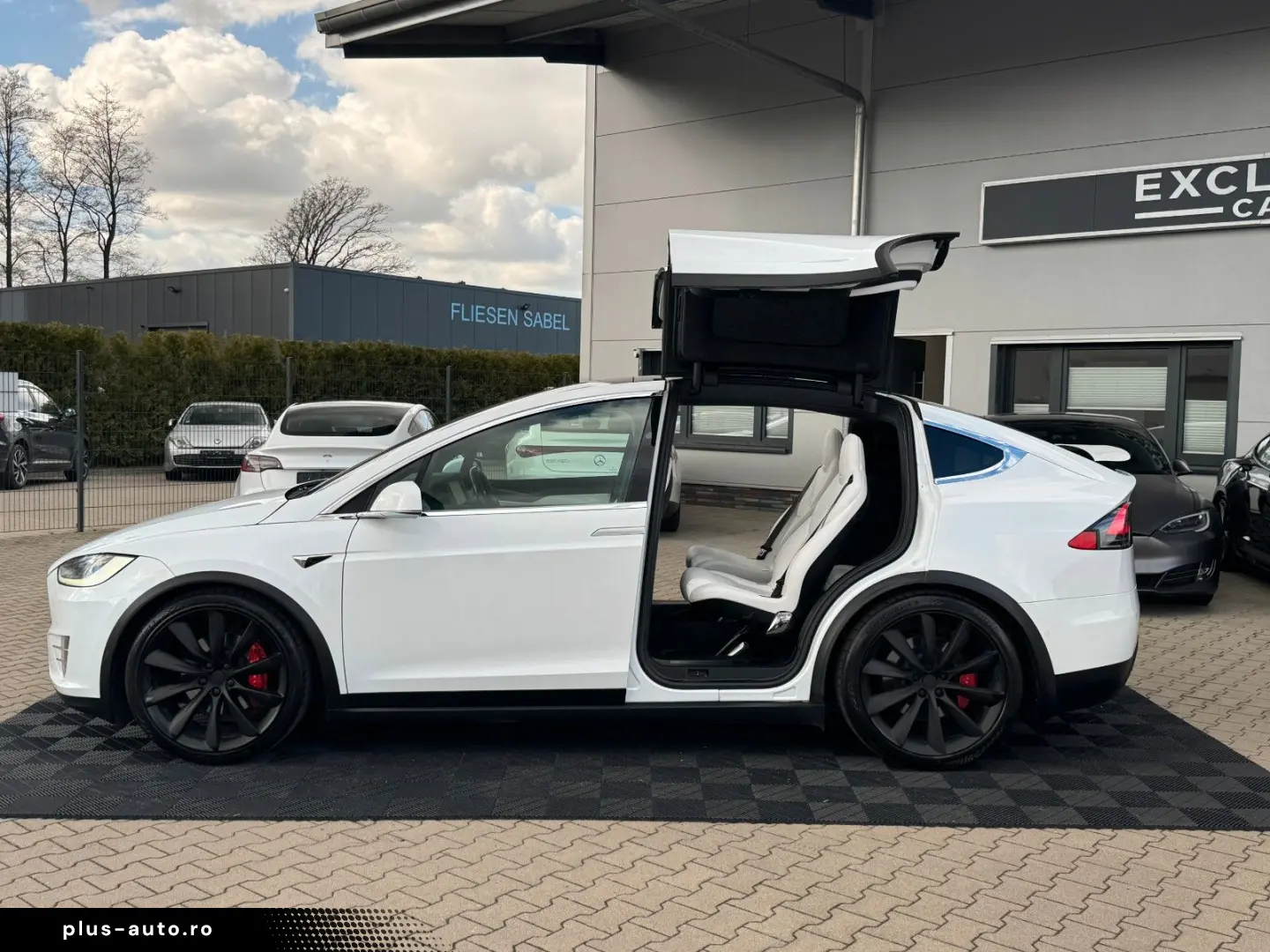 TESLA MODEL X RAVEN PERFORMANCE   6 SEATER   AP3