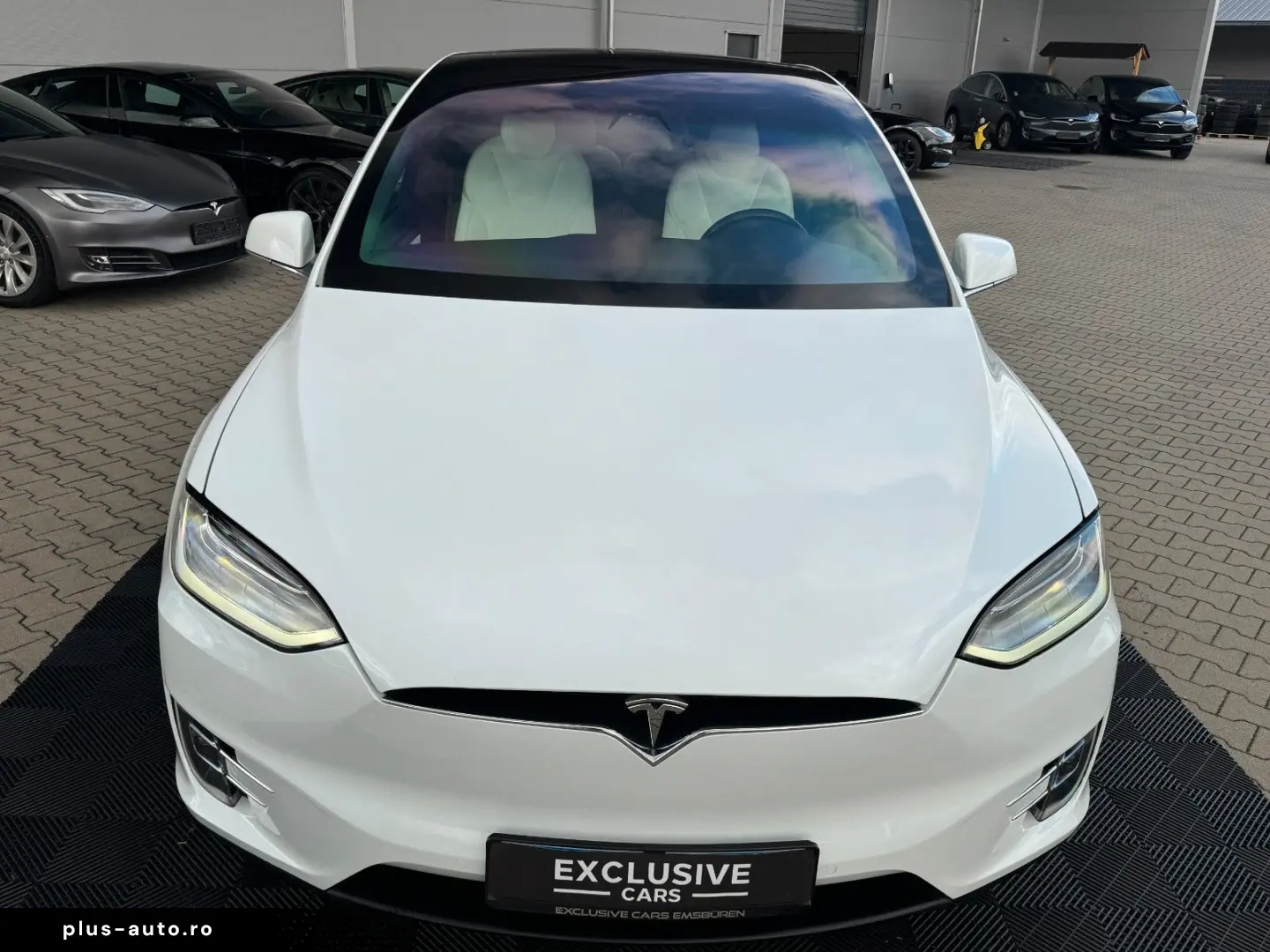 TESLA MODEL X RAVEN PERFORMANCE   6 SEATER   AP3