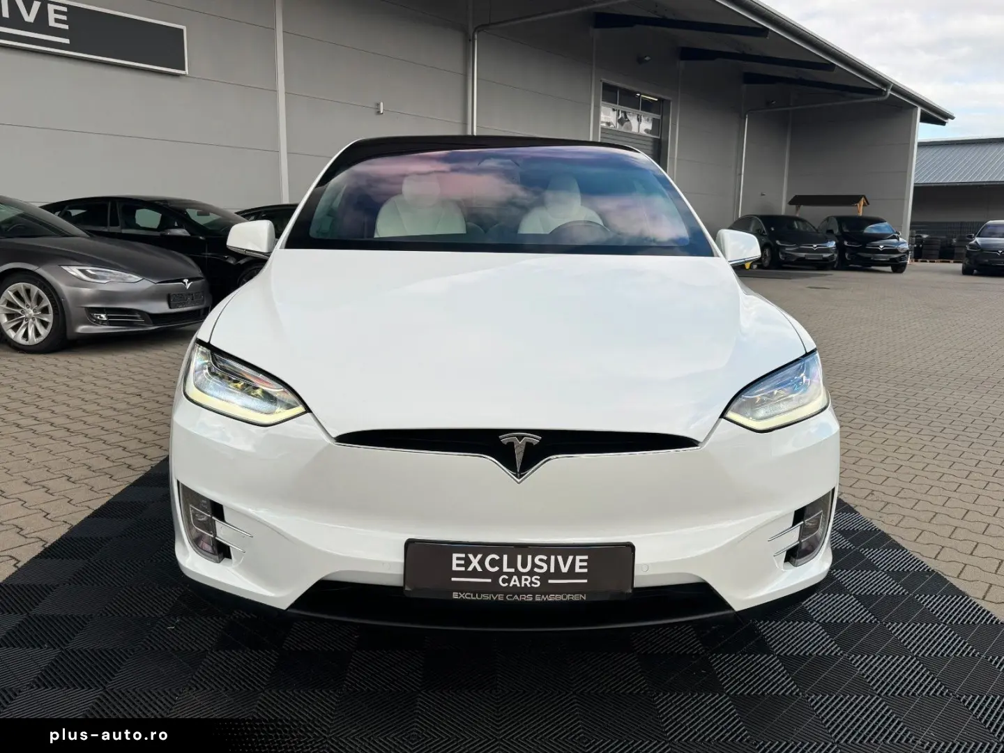 TESLA MODEL X RAVEN PERFORMANCE   6 SEATER   AP3