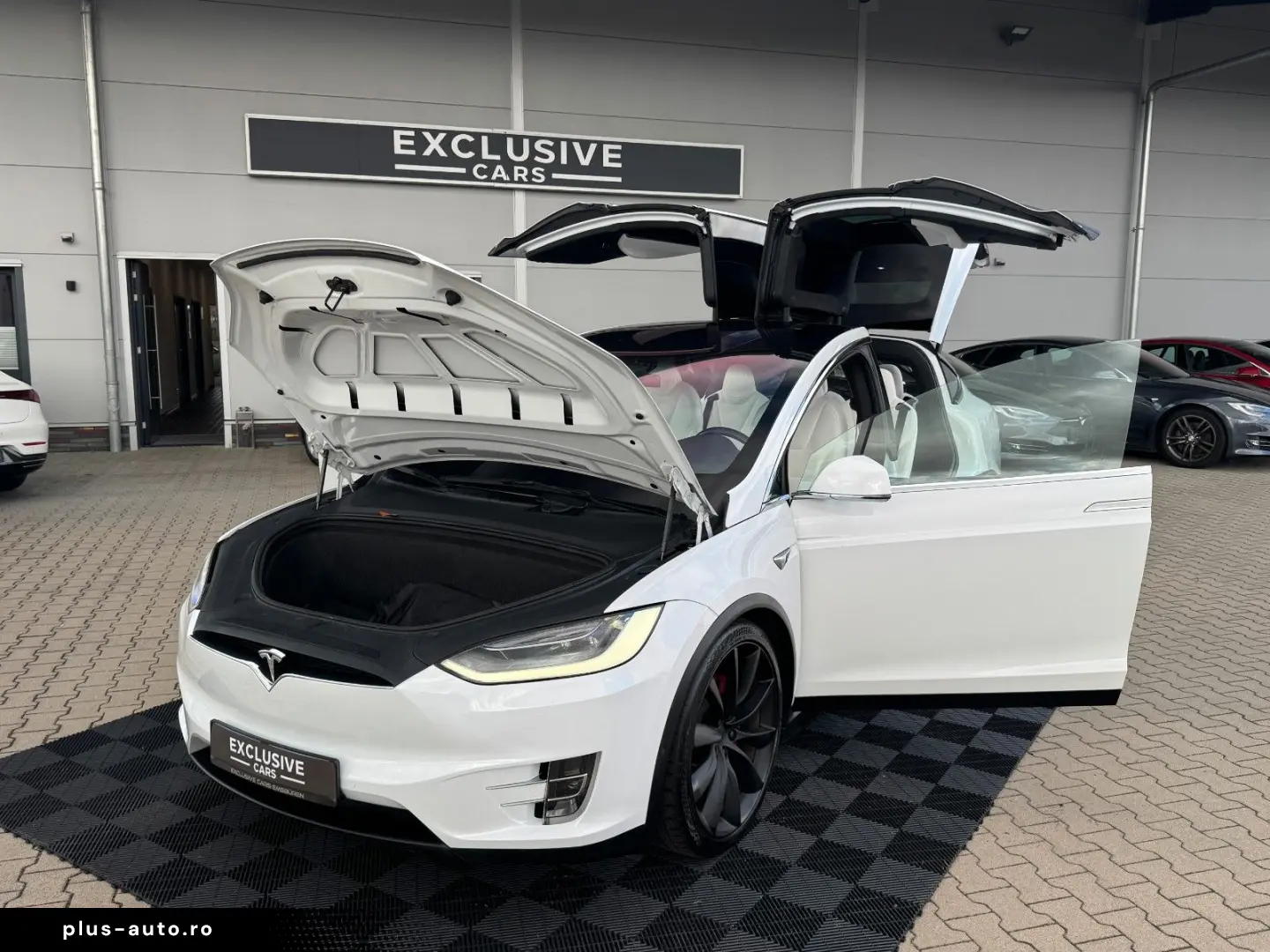 TESLA MODEL X RAVEN PERFORMANCE   6 SEATER   AP3