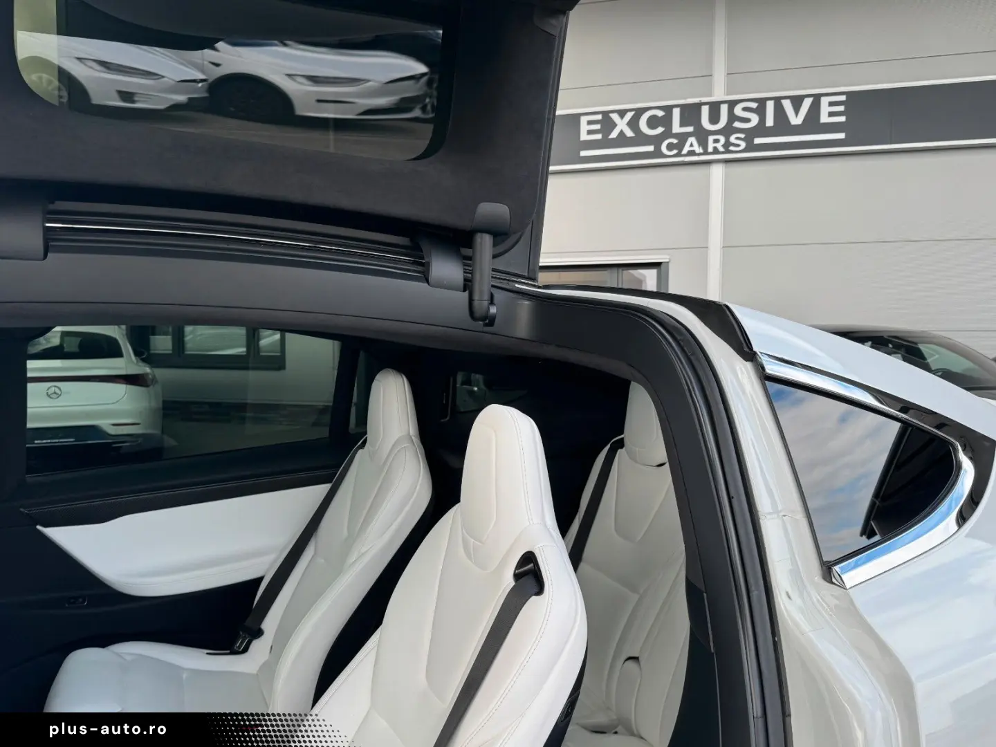 TESLA MODEL X RAVEN PERFORMANCE   6 SEATER   AP3