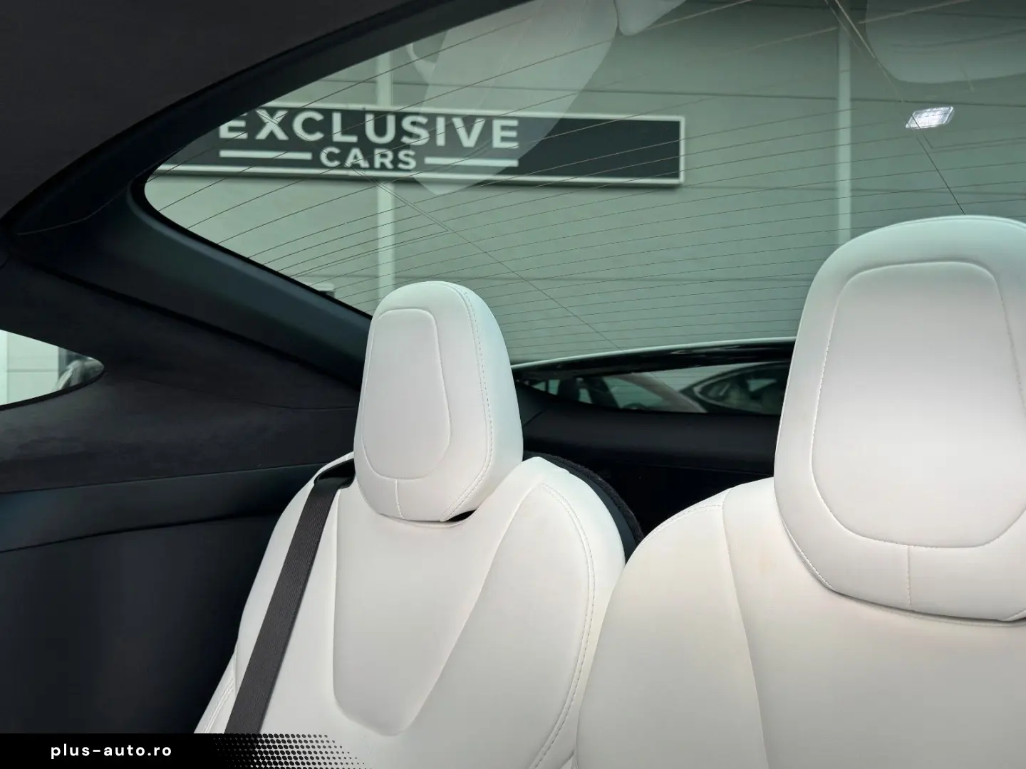 TESLA MODEL X RAVEN PERFORMANCE   6 SEATER   AP3