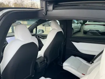 TESLA MODEL X RAVEN PERFORMANCE   6 SEATER   AP3