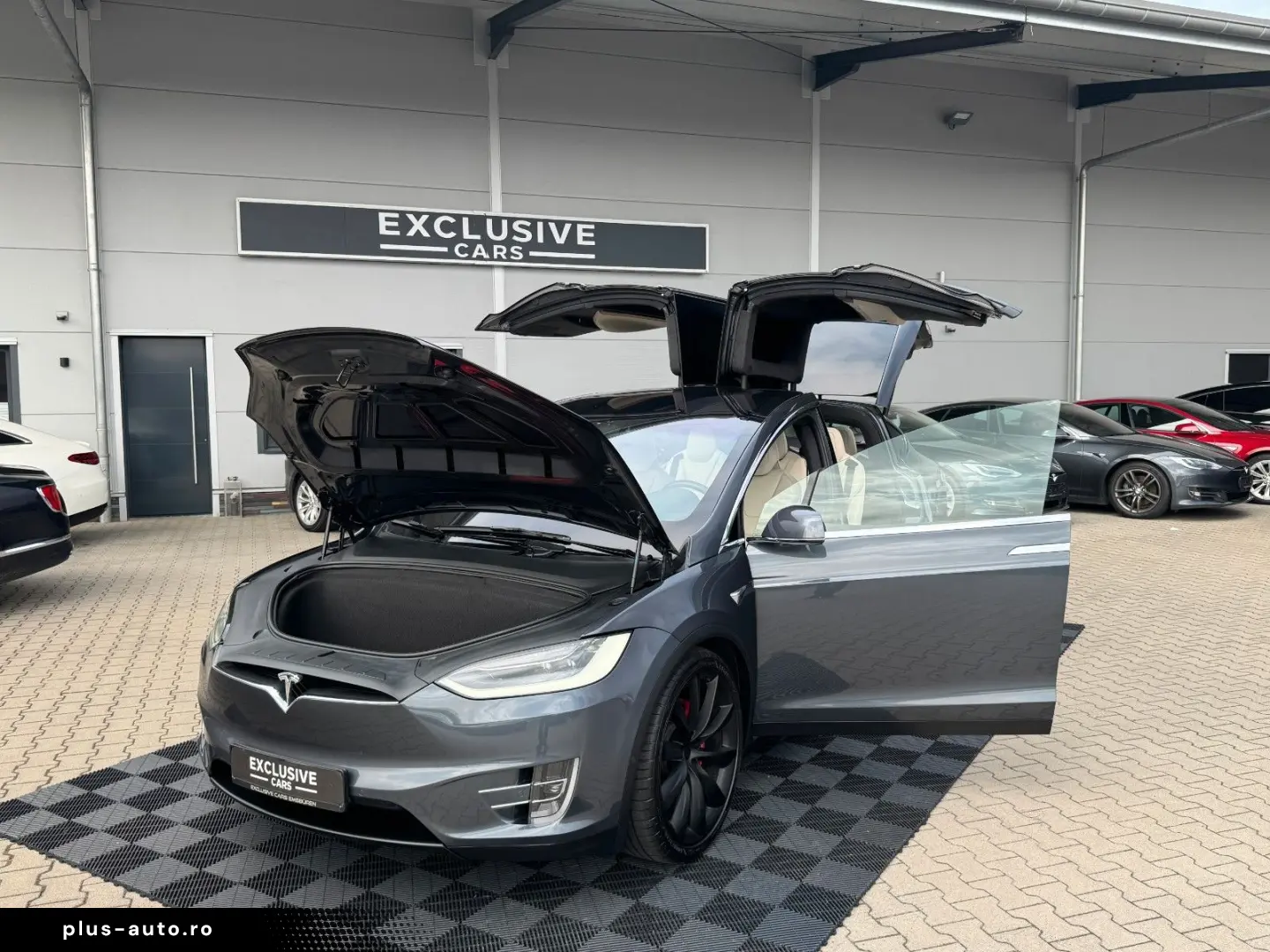 TESLA MODEL X RAVEN PERFORMANCE   6 SEATER   22 INCH