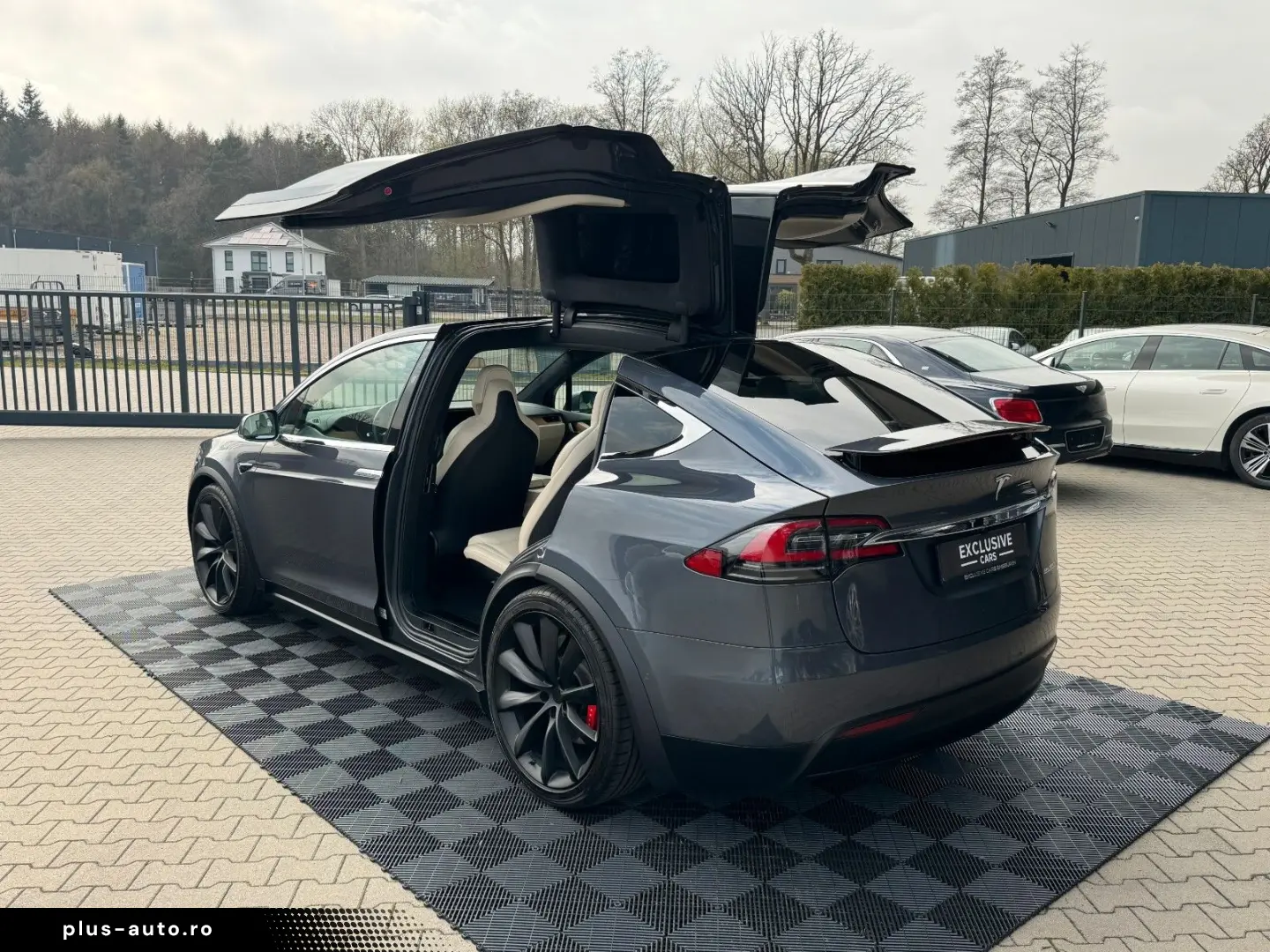 TESLA MODEL X RAVEN PERFORMANCE   6 SEATER   22 INCH