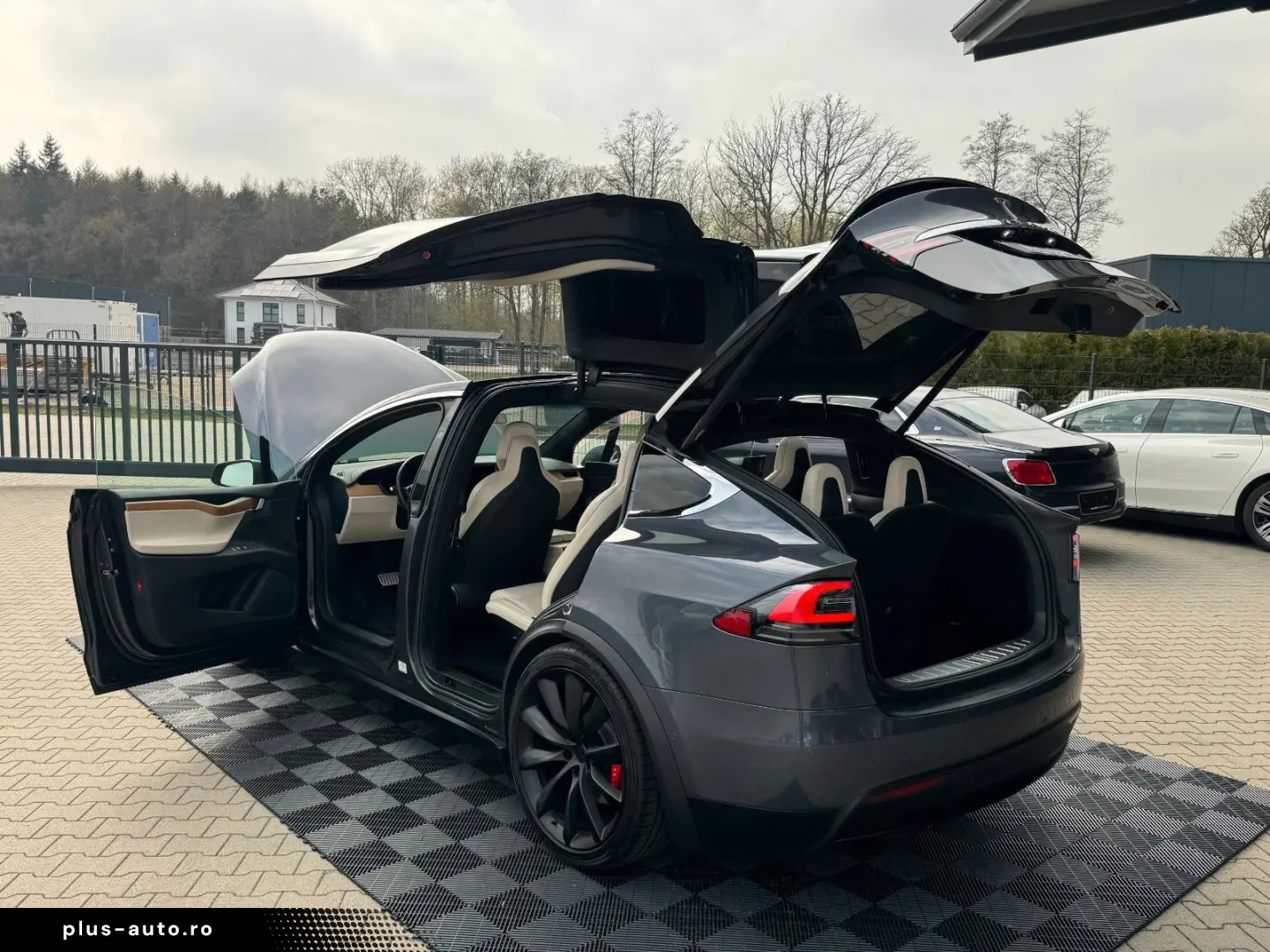 TESLA MODEL X RAVEN PERFORMANCE   6 SEATER   22 INCH