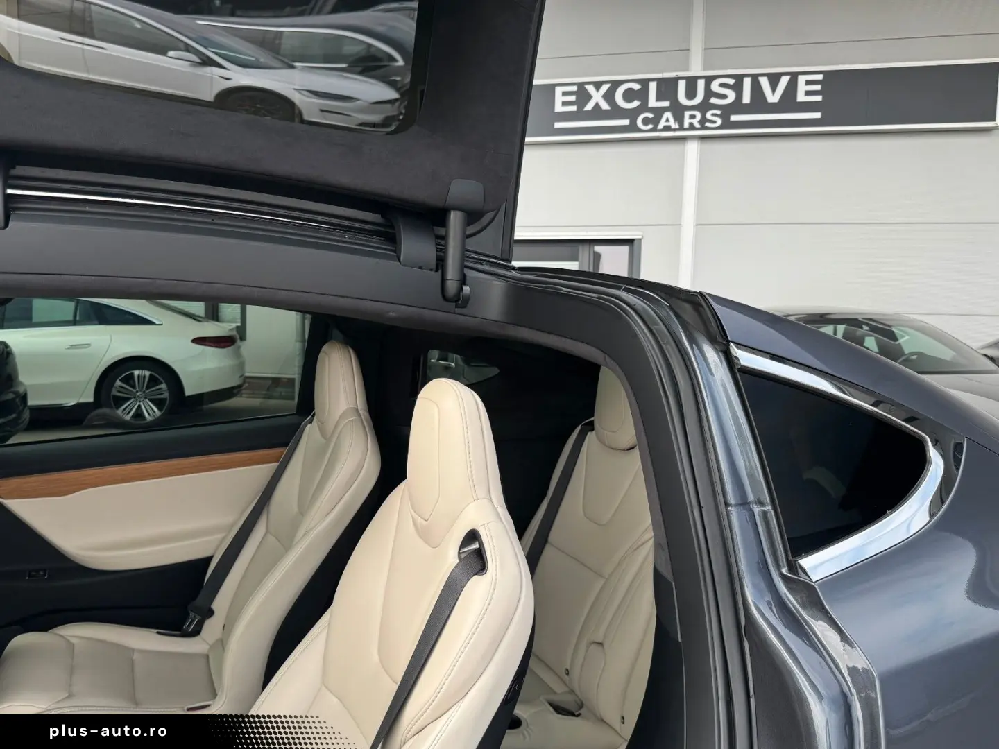 TESLA MODEL X RAVEN PERFORMANCE   6 SEATER   22 INCH