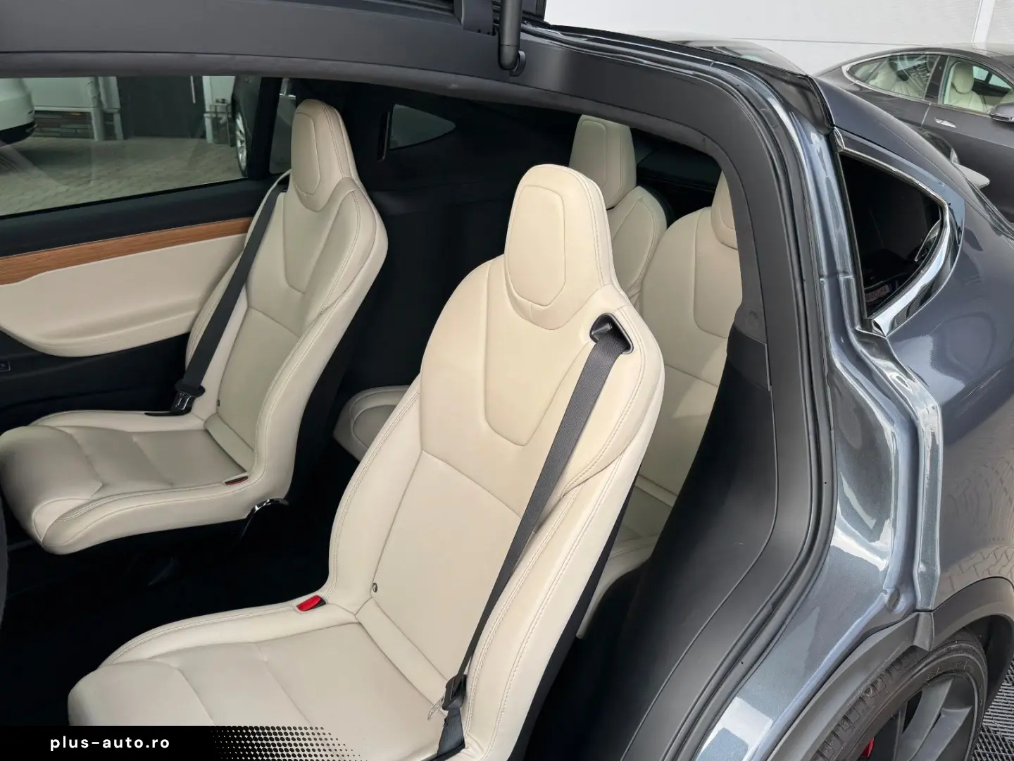 TESLA MODEL X RAVEN PERFORMANCE   6 SEATER   22 INCH