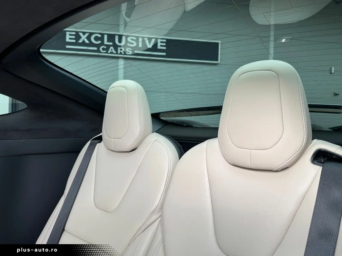 TESLA MODEL X RAVEN PERFORMANCE   6 SEATER   22 INCH