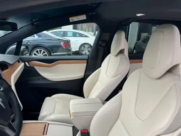 TESLA MODEL X RAVEN PERFORMANCE   6 SEATER   22 INCH