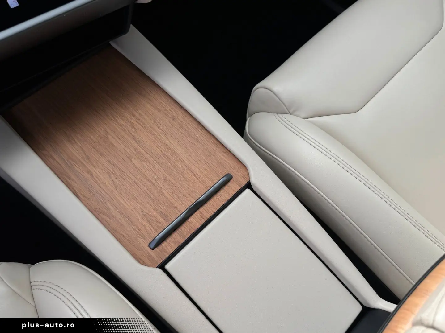 TESLA MODEL X RAVEN PERFORMANCE   6 SEATER   22 INCH