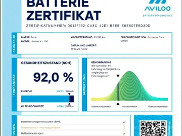 TESLA MODEL X RAVEN PERFORMANCE   6 SEATER   22 INCH