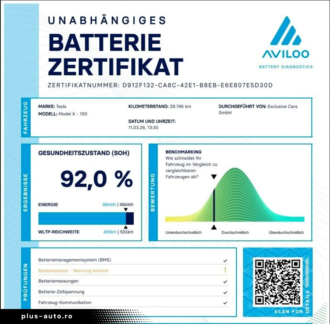 TESLA MODEL X RAVEN PERFORMANCE   6 SEATER   22 INCH