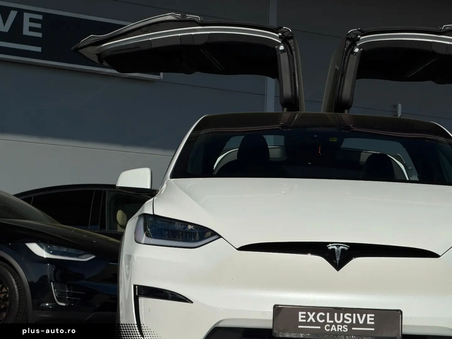 TESLA MODEL X PLAID   FULL SELF DRIVE   6SEAT   22