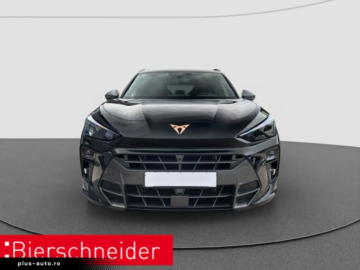 CUPRA Terramar 2.0 TSI DSG 4Dr AB 255EUR VZ AHK PANIO