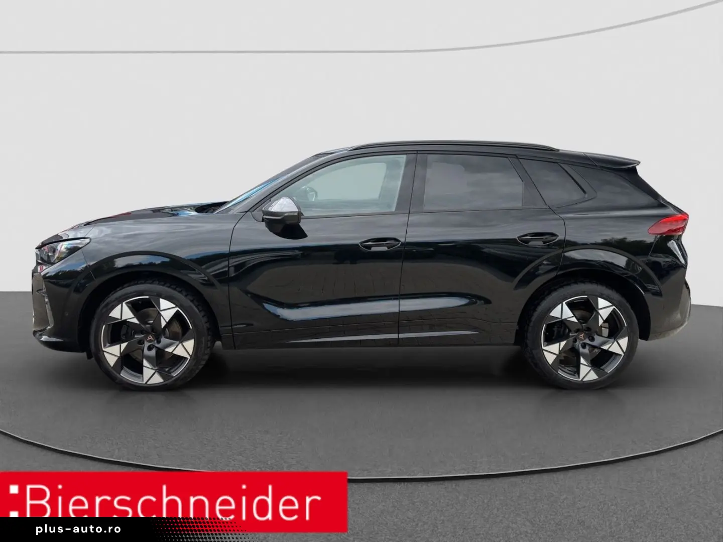 CUPRA Terramar 2.0 TSI DSG 4Dr AB 255EUR VZ AHK PANIO