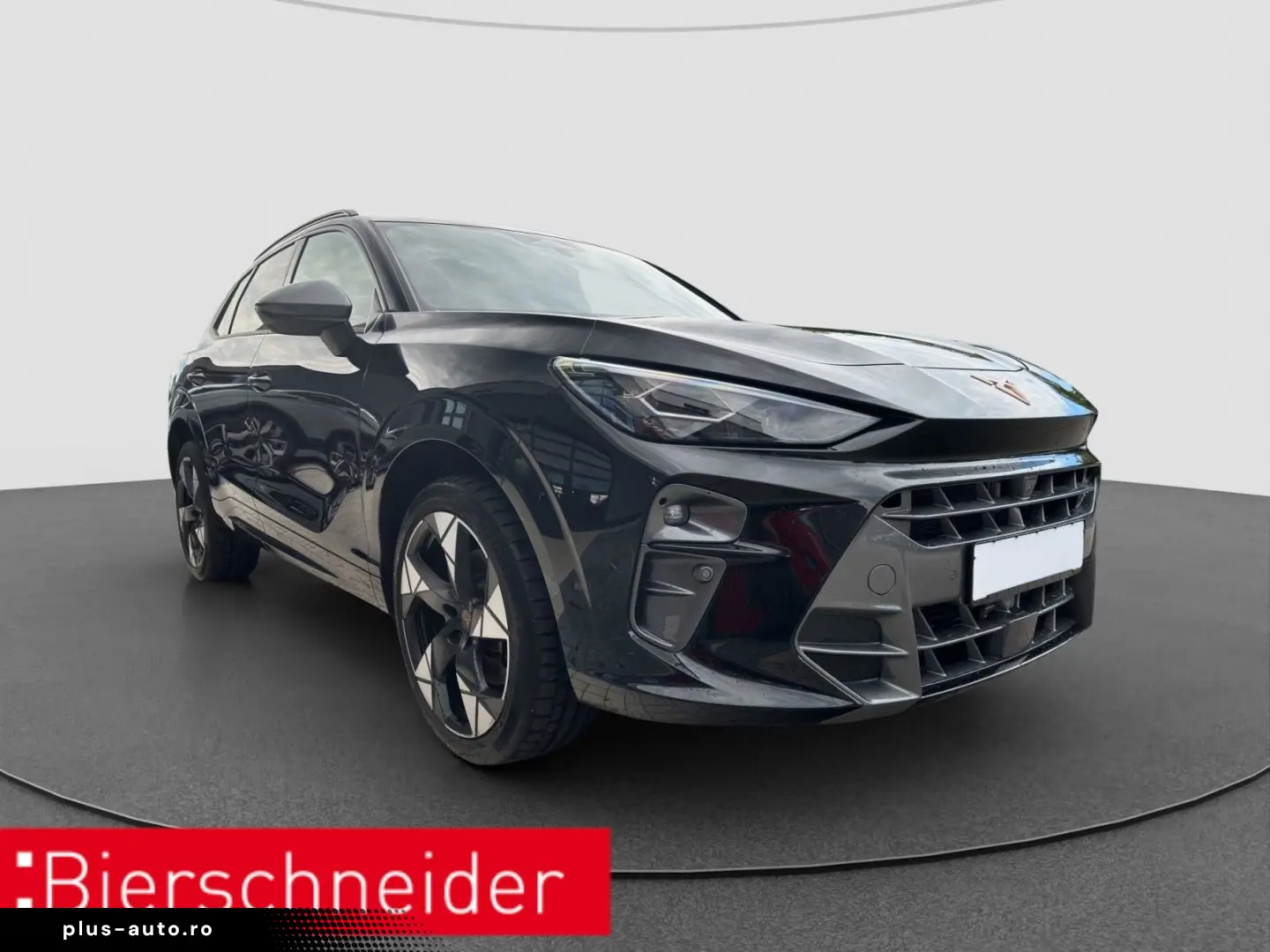 CUPRA Terramar 2.0 TSI DSG 4Dr AB 255EUR VZ AHK PANIO