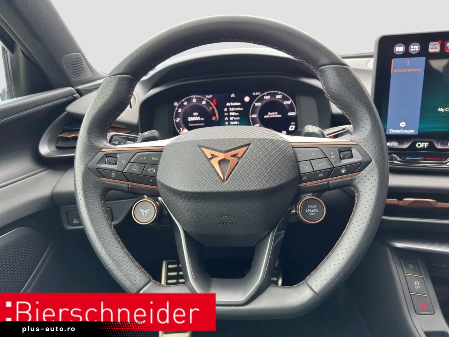 CUPRA Terramar 2.0 TSI DSG 4Dr AB 255EUR VZ AHK PANIO