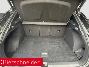 CUPRA Terramar 2.0 TSI DSG 4Dr AB 255EUR VZ AHK PANIO