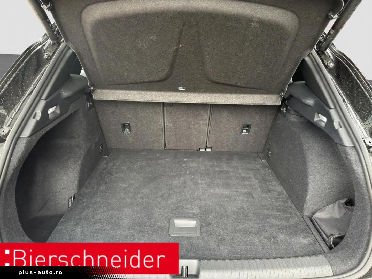 CUPRA Terramar 2.0 TSI DSG 4Dr AB 255EUR VZ AHK PANIO