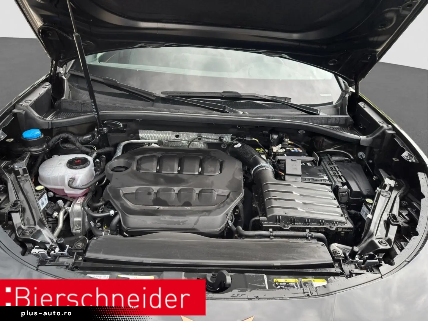 CUPRA Terramar 2.0 TSI DSG 4Dr AB 255EUR VZ AHK PANIO