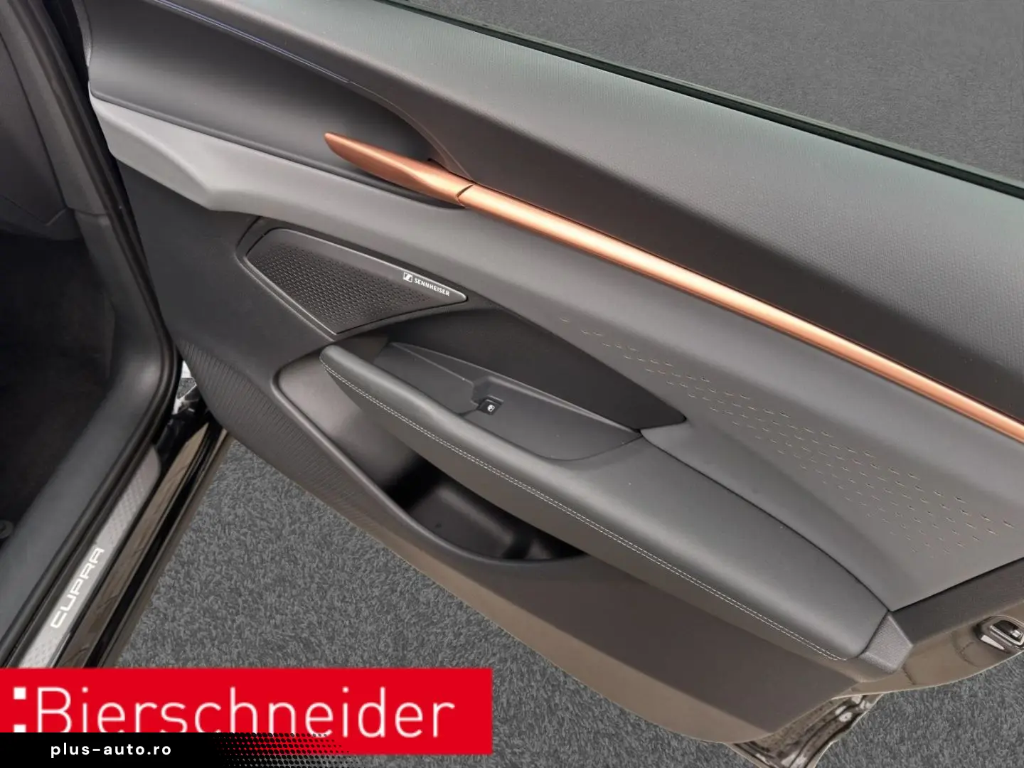 CUPRA Terramar 2.0 TSI DSG 4Dr AB 255EUR VZ AHK PANIO