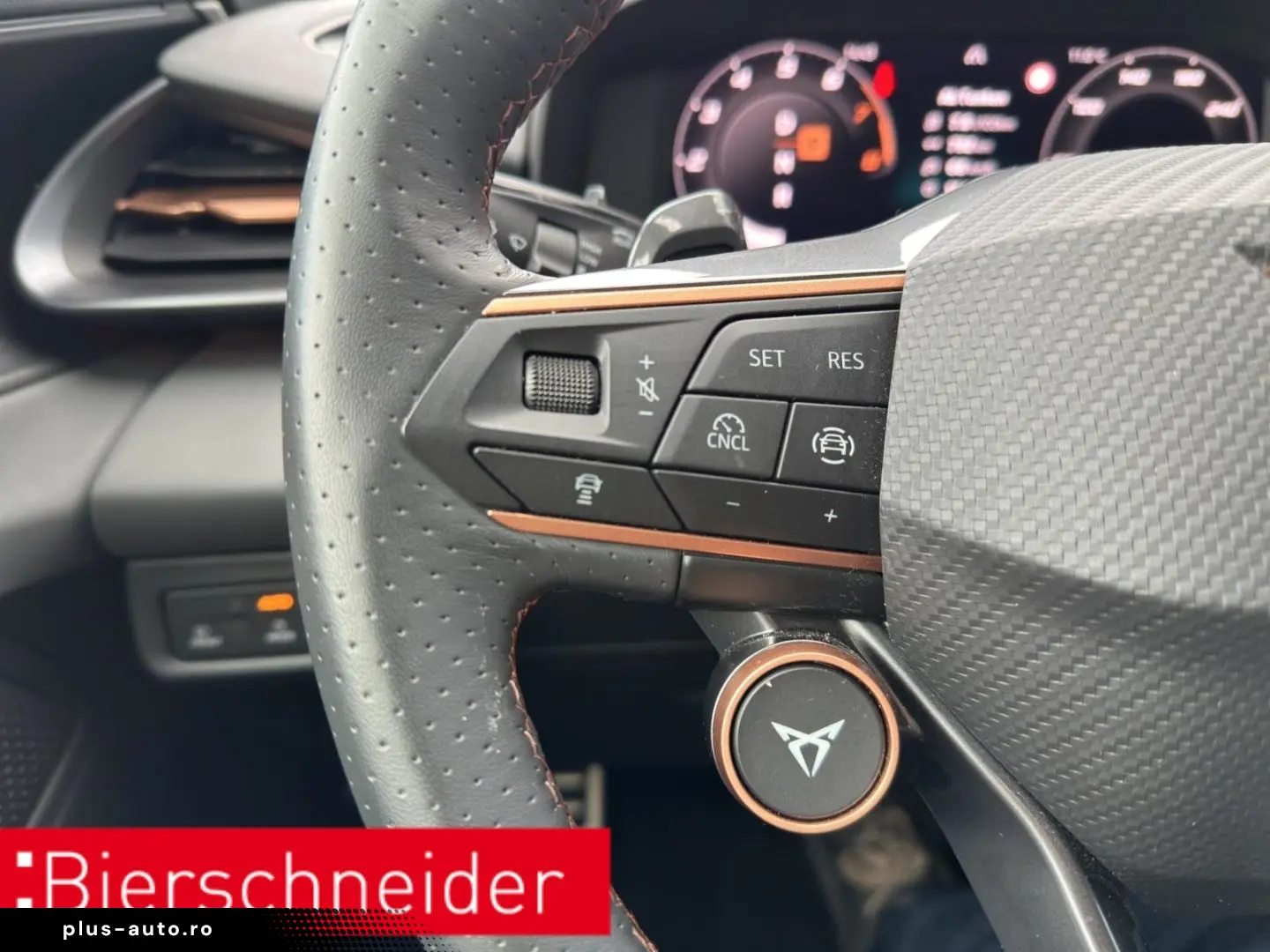 CUPRA Terramar 2.0 TSI DSG 4Dr AB 255EUR VZ AHK PANIO