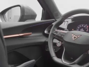 CUPRA Terramar VZ 2.0TSI 4Drive DSG  PANO AHK KAM 20