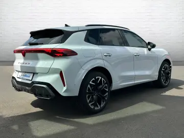 CUPRA Terramar 2.0 TSI 4Drive DSG AHK 360  Kamera Pano