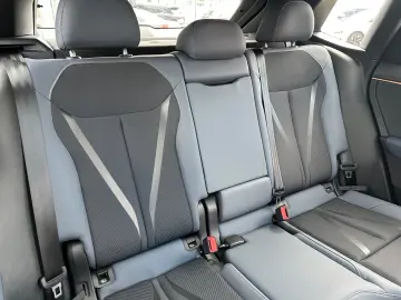 CUPRA Terramar 2.0 TSI 4Drive DSG AHK 360  Kamera Pano