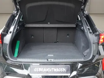 CUPRA Terramar VZ 2.0TSI 4x4 Pano AHK-Vorbereitung