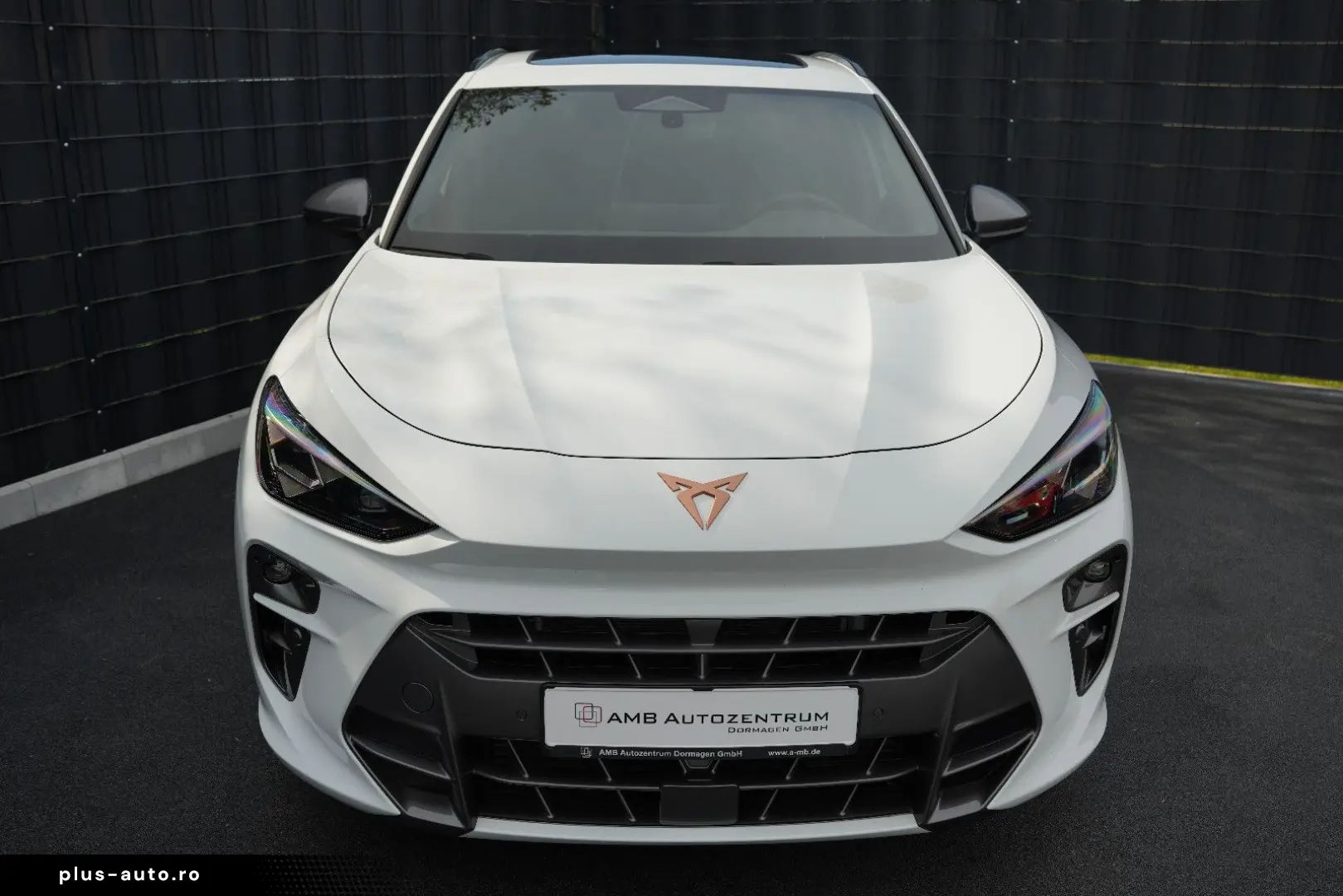 CUPRA Terramar 2.0 TSI 4Drive VZ PANO ACC APPLE DAB