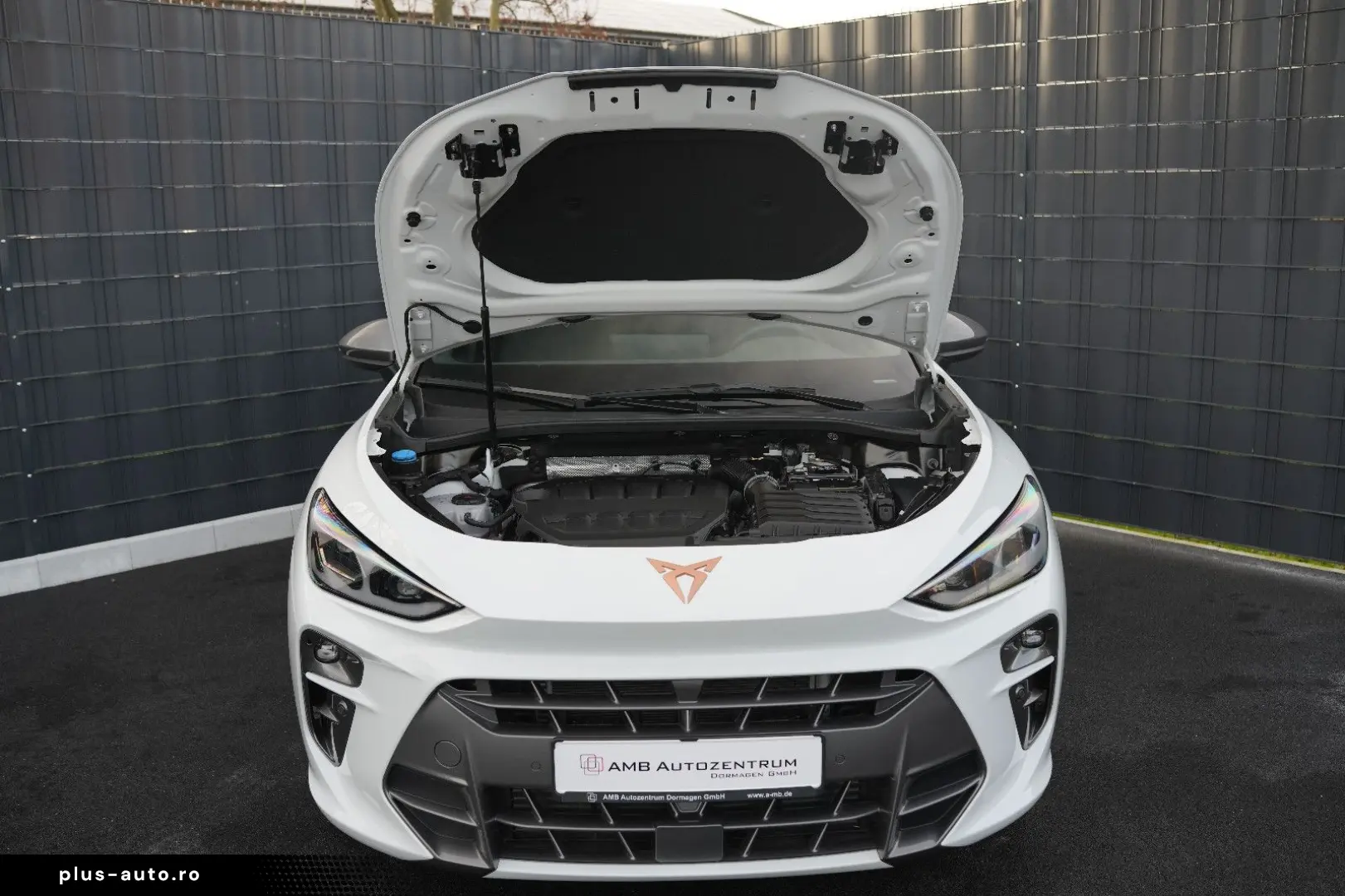 CUPRA Terramar 2.0 TSI 4Drive VZ PANO ACC APPLE DAB