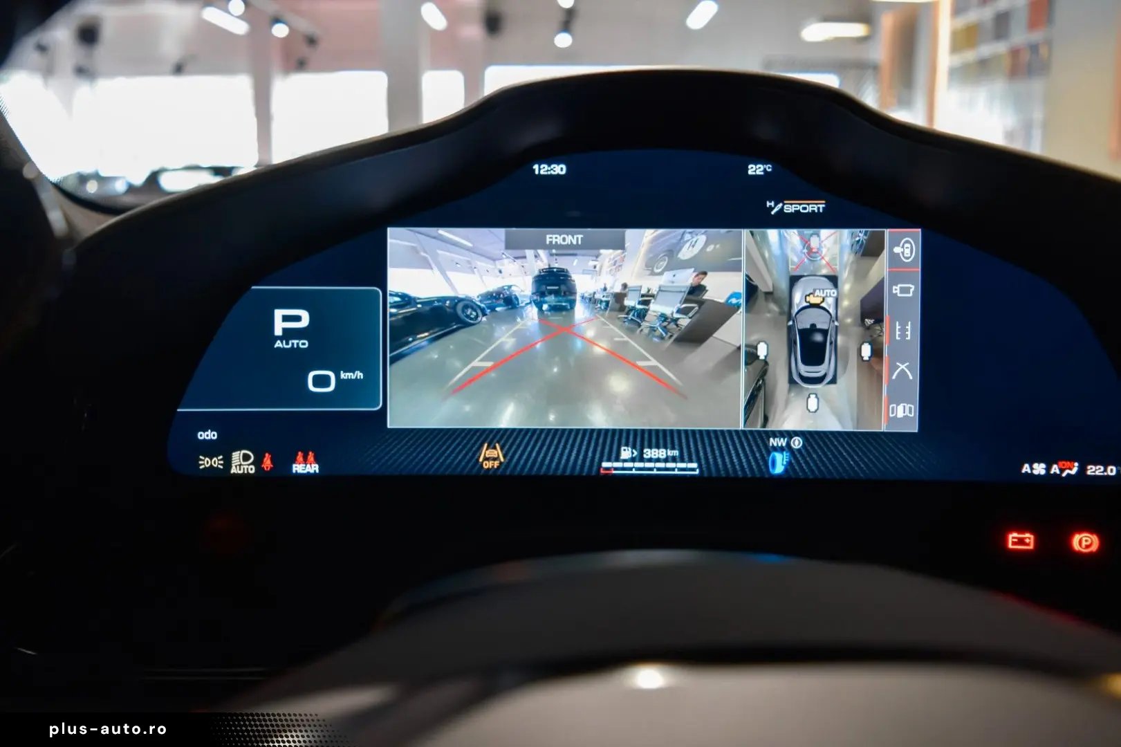 FERRARI PUROSANGUE - FULL CARBON - BURMESTER