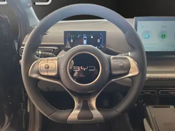 BYD Dolphin Surf Comfort Comfort  43 2KWh 310KM 360G