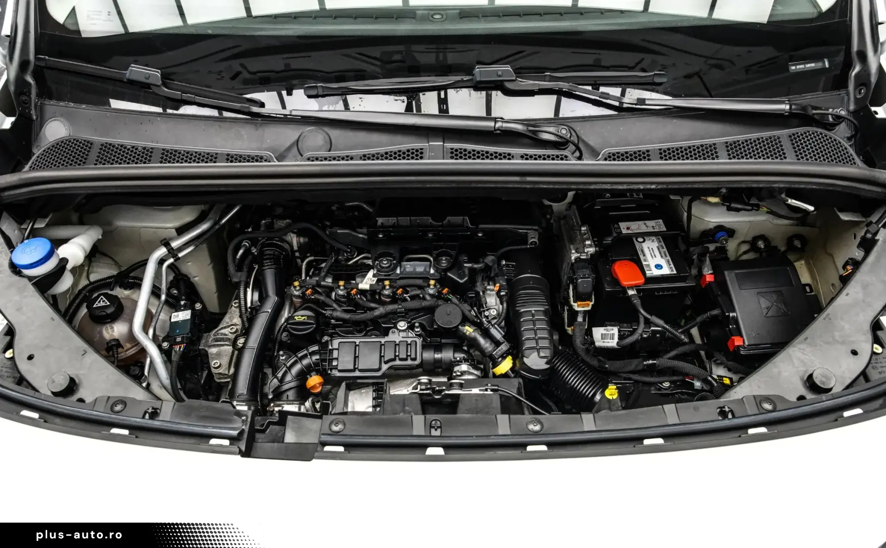 Toyota Proace (Verso)