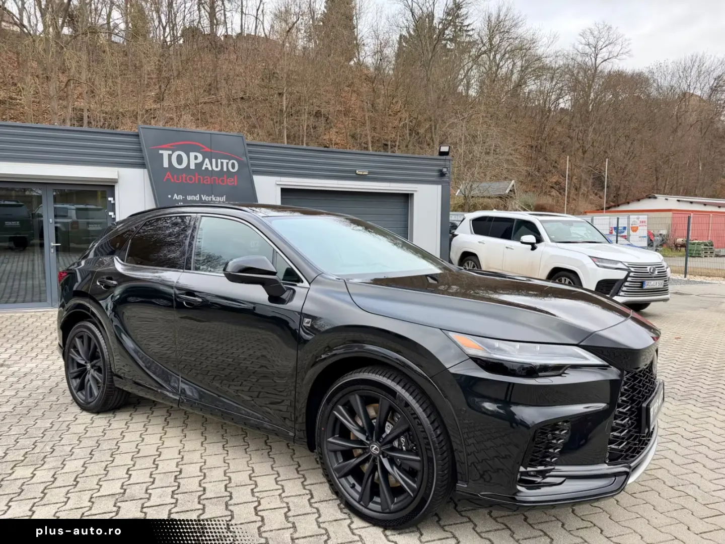 Lexus RX 500 F Sport.DIRECT4