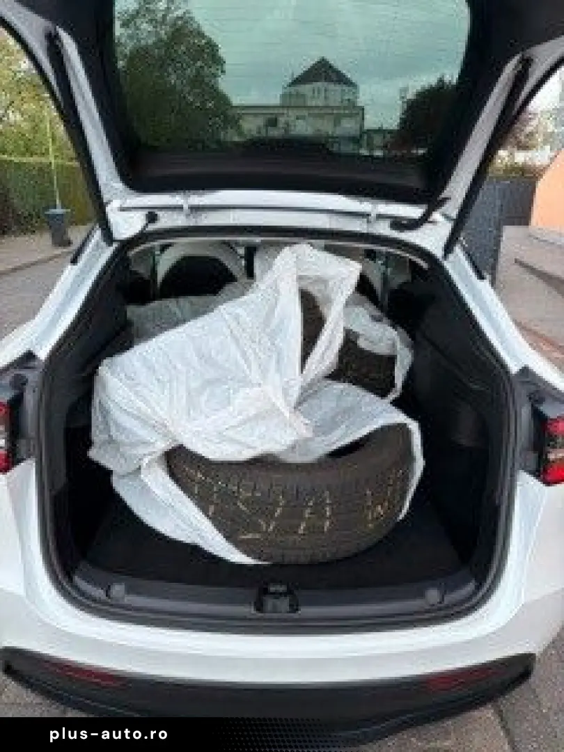 TESLA Model Y Basis RWD White White  1.HD