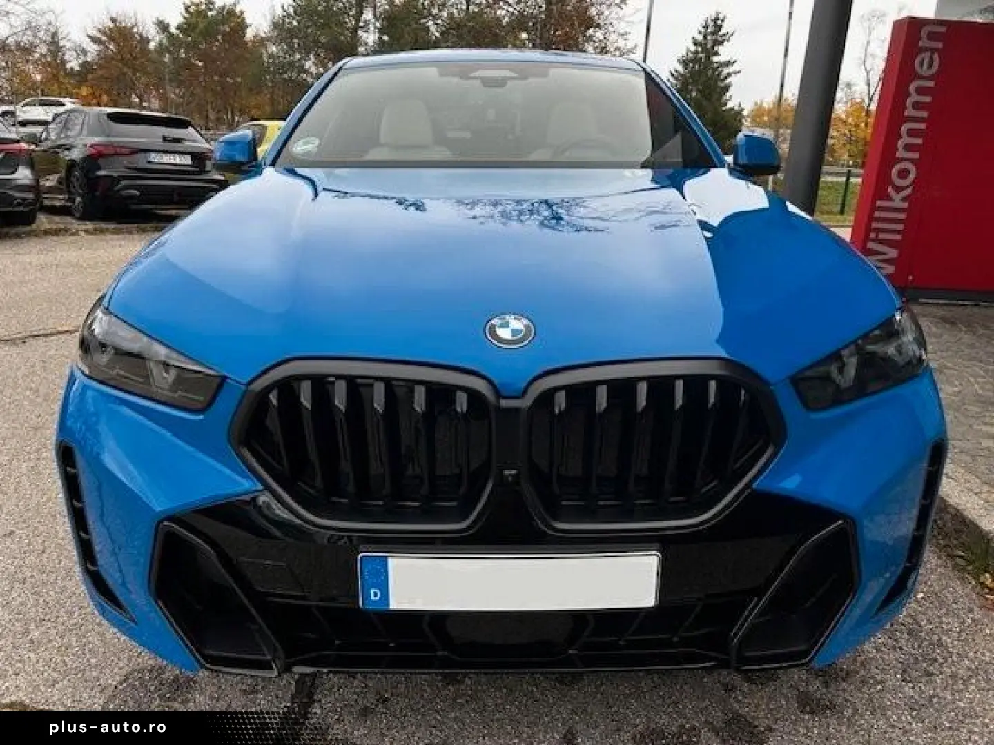 BMW X6 xDrive30d Standheiz. B&W AHK Iconic 22  Pano