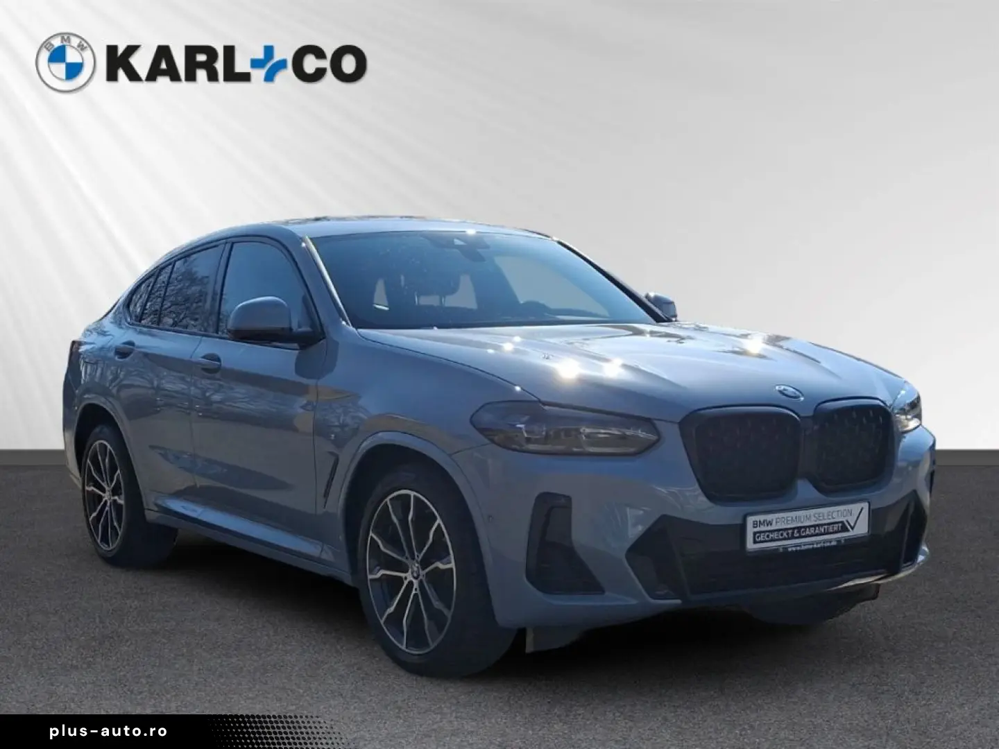 BMW X4 xDrive20i M-Sport Panorama H&K