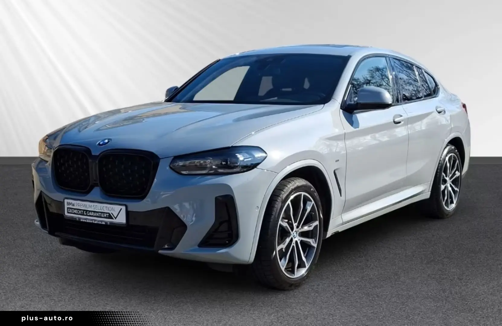 BMW X4 xDrive20i M-Sport Panorama H&K