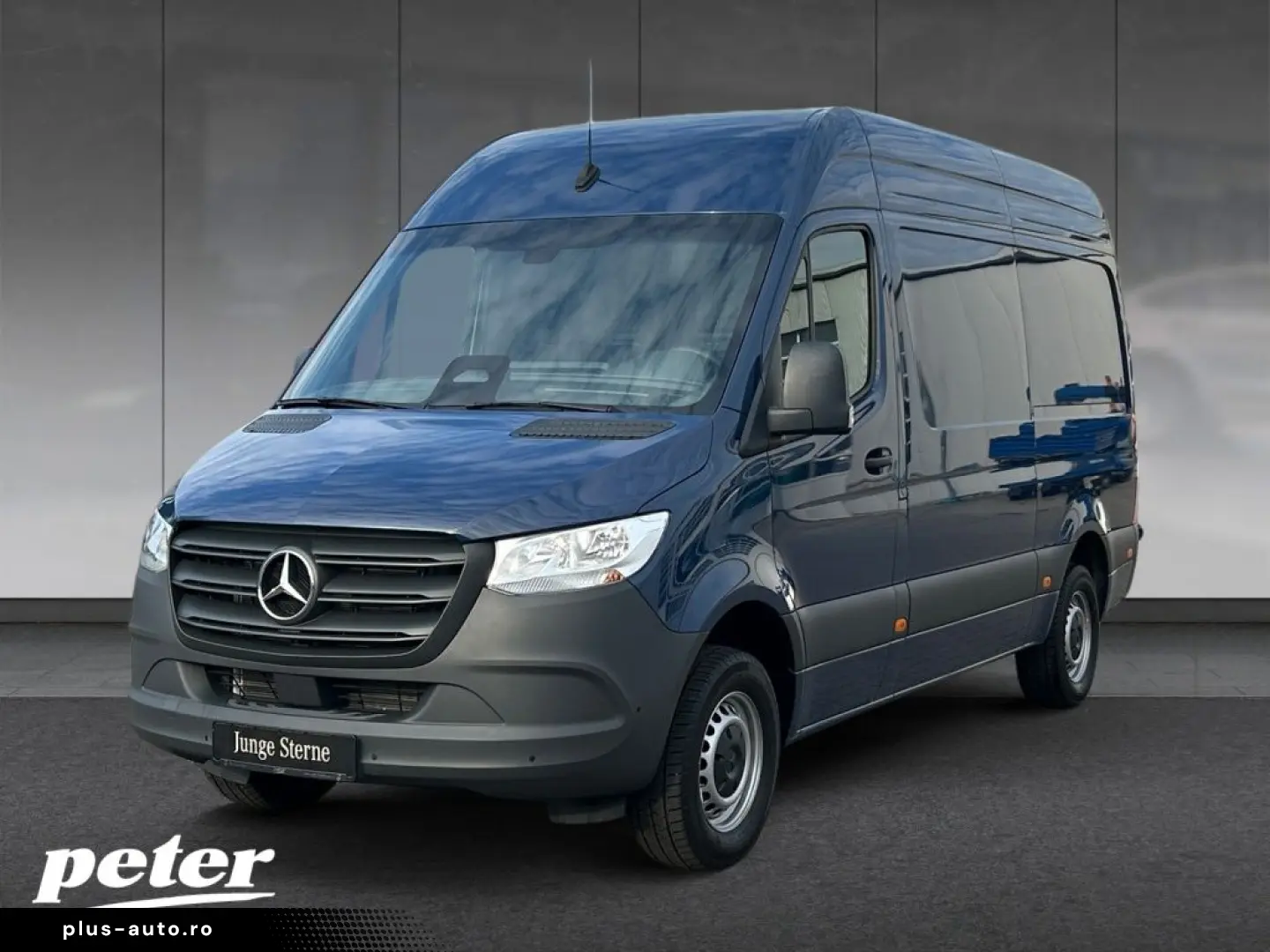 MERCEDES-BENZ Sprinter 315 CDI Kasten HD 9GT KLIMA MBUX AHK