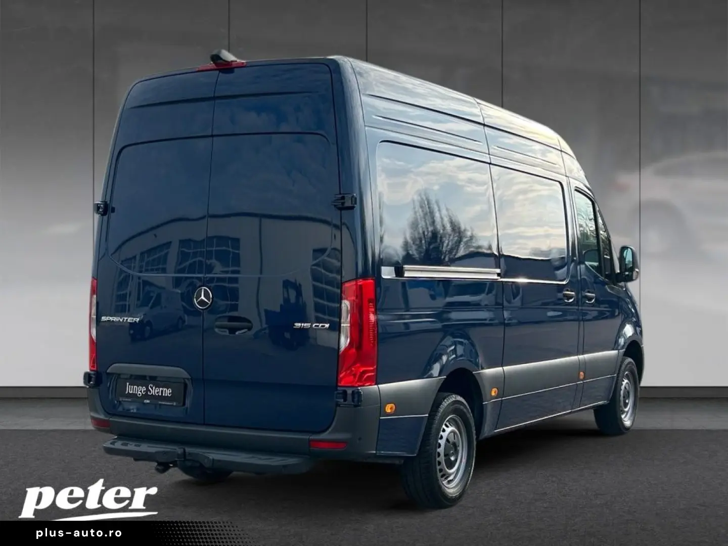 MERCEDES-BENZ Sprinter 315 CDI Kasten HD 9GT KLIMA MBUX AHK