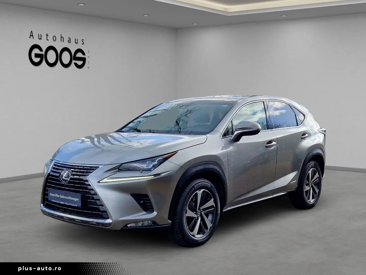 LEXUS NX 300h E-Four Luxury Pano Memory Sitze 360 Kame