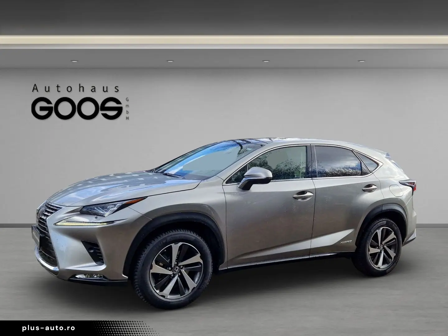 LEXUS NX 300h E-Four Luxury Pano Memory Sitze 360 Kame