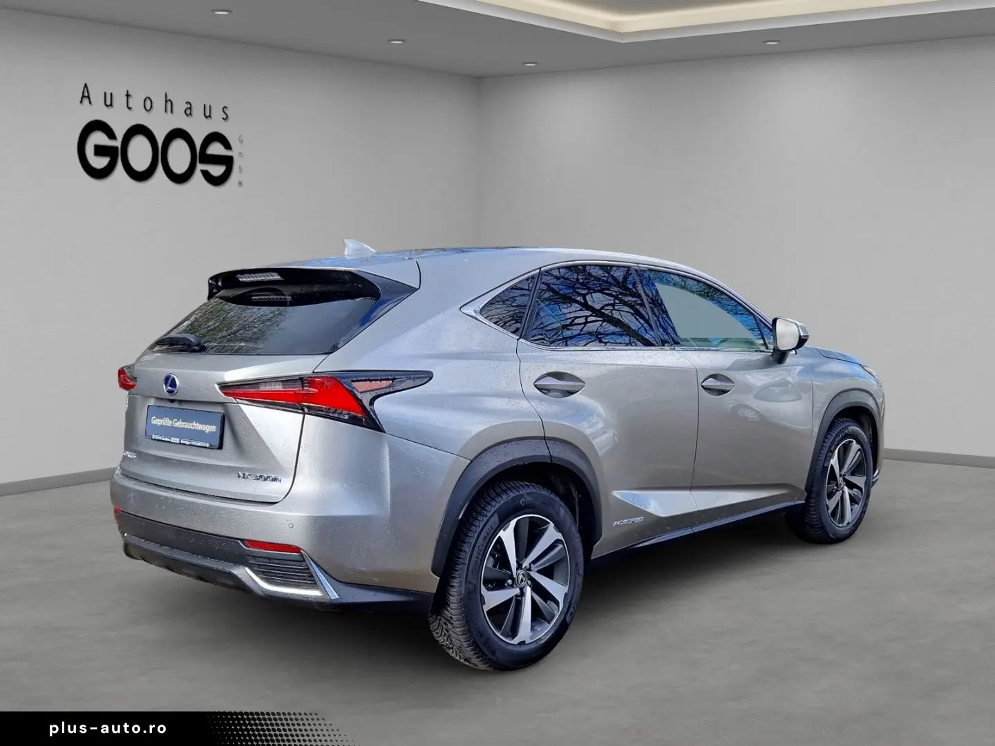 LEXUS NX 300h E-Four Luxury Pano Memory Sitze 360 Kame