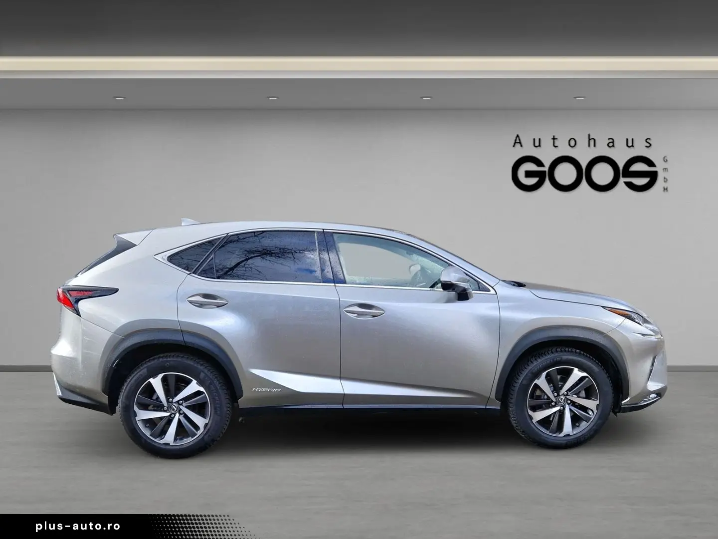 LEXUS NX 300h E-Four Luxury Pano Memory Sitze 360 Kame